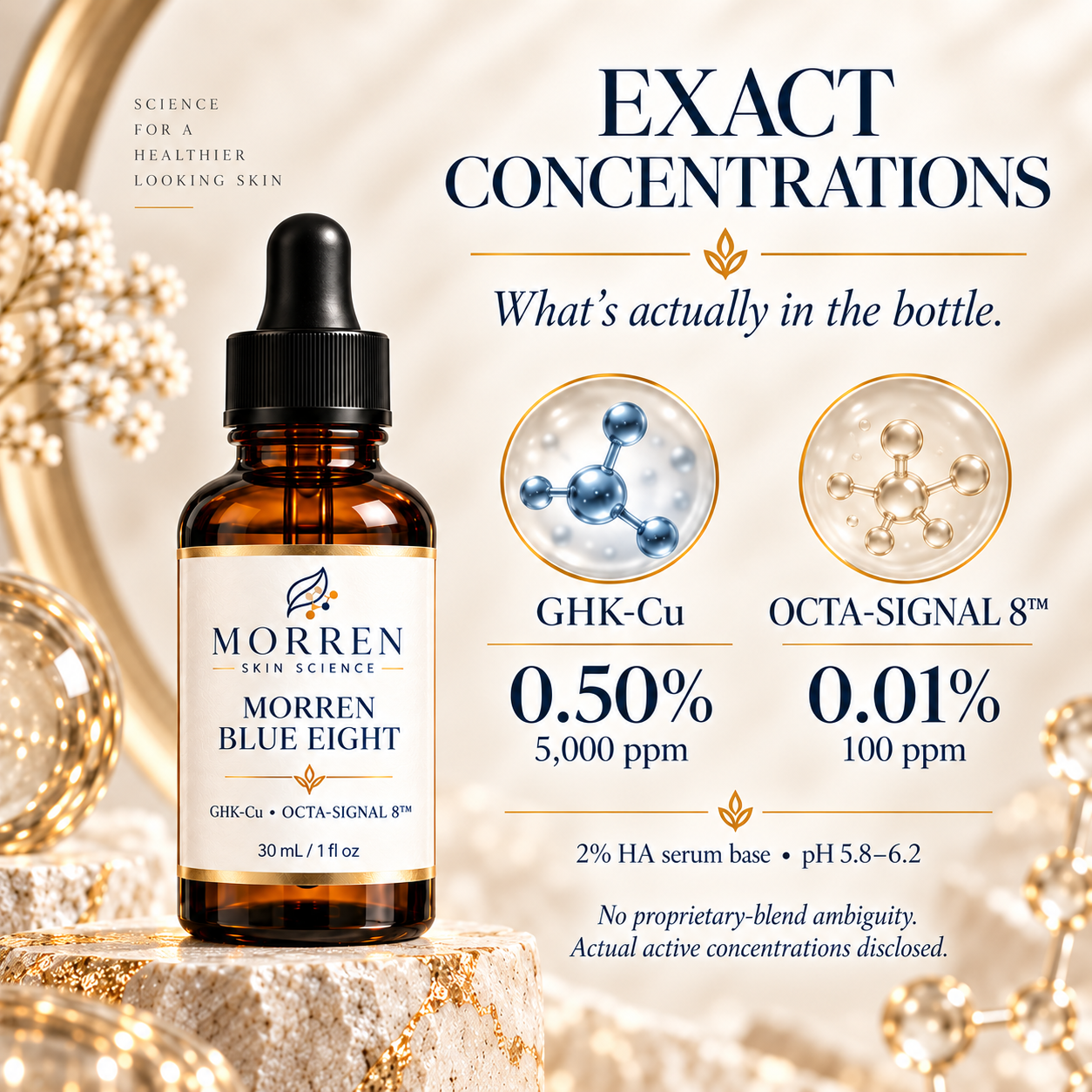 Morren Blue Eight — image 3